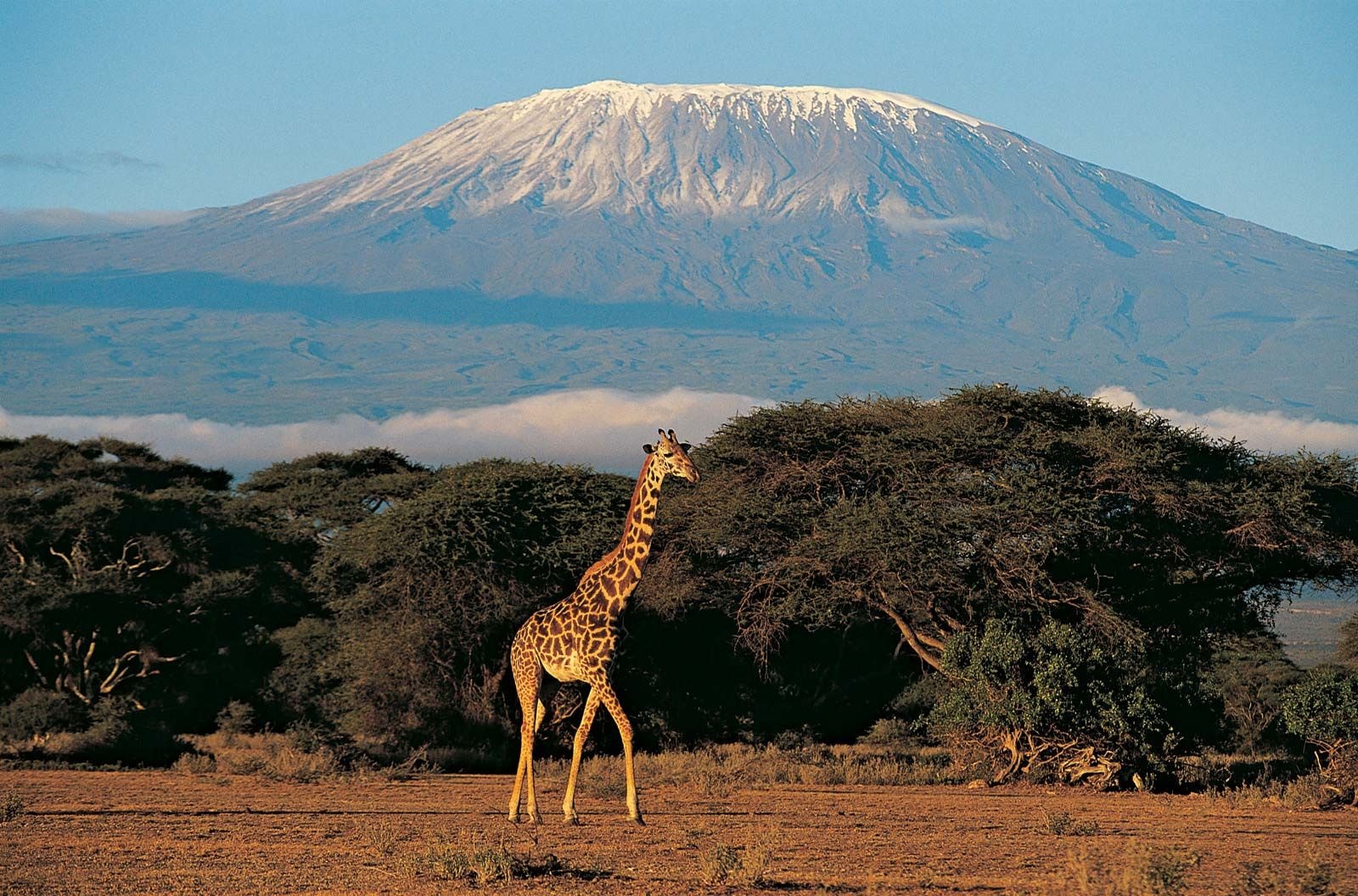 The expedition into unmapped Africa