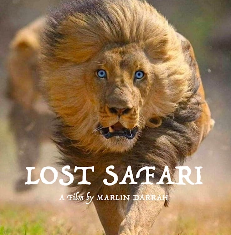 African wildlife — the heart of Lost Safari